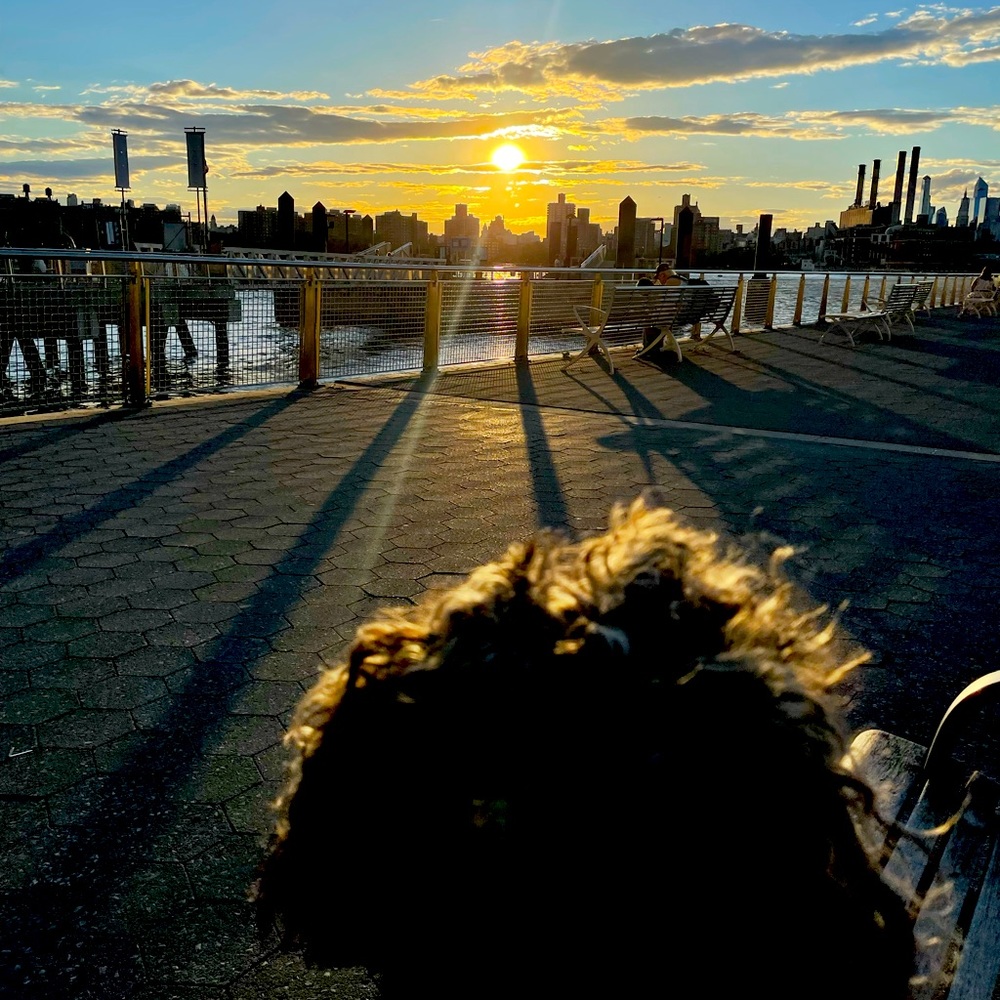 Meet your Posher, Lucy